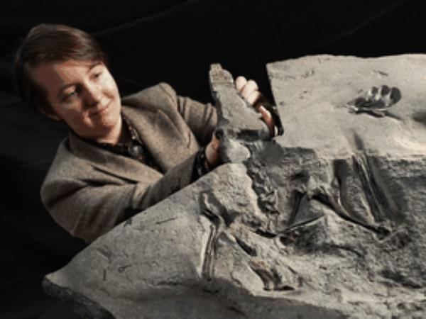 University of Edinburgh PhD student Natalia Jagielska is shown with the world’s largest Jurassic pterosaur unearthed on the Isle of Skye.