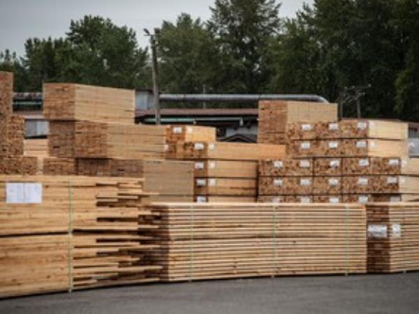 Stacks of lumber are seen at Teal-Jo<em></em>nes Group sawmill in Surrey, B.C. Lower-than-expected U.S. penalties on softwood lumber exports from Canada no<em></em>netheless remain a thorn in the side of Ottawa.